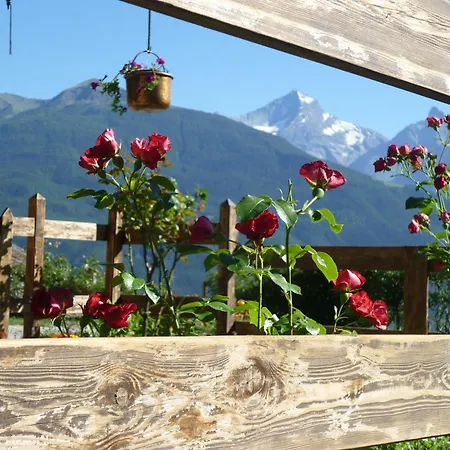 Affittacamere D'hotes Dans Les Alpes