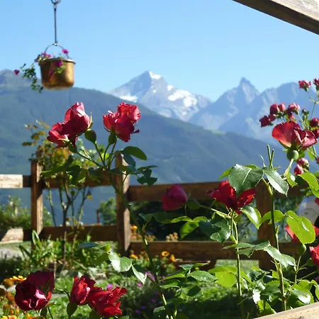 Gasthuis D'hotes Dans Les Alpes 3*