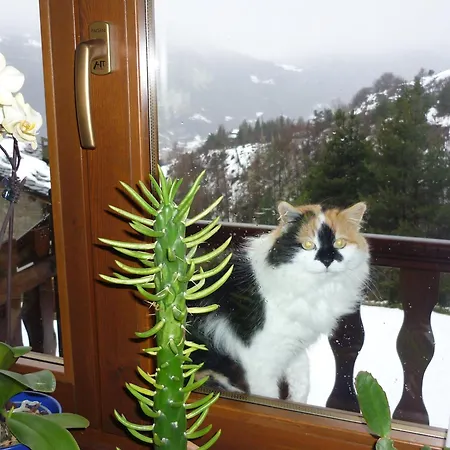 D'hotes Dans Les Alpes